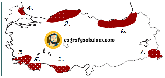 Türkiye'de Yer şekillerinin Genel Özellikleri 5