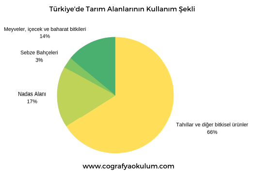Türkiye'de Tarım ve Tarımı Etkileyen Faktörler